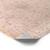 Pavement Primrose Poster (Hoek)