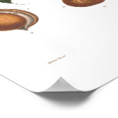 Pavia, red buckeye poster (Hoek)