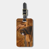 Pavian/Baboon Bagagelabel (Voorkant verticaal)