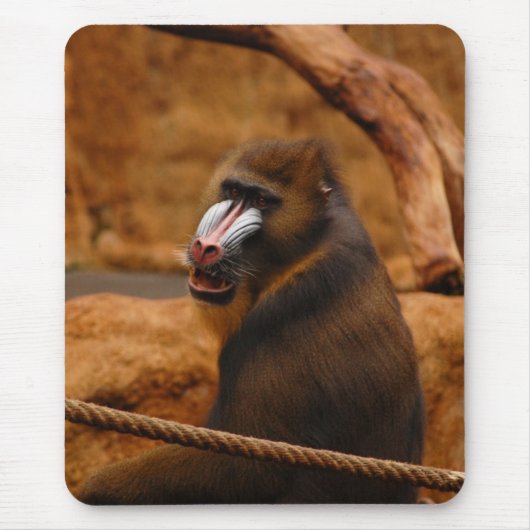 Pavian/Baboon Muismat (Voorkant)