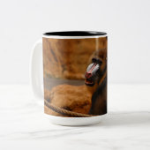 Pavian/Baboon Tweekleurige Koffiemok (Voorkant links)