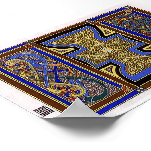 Pavo Floris Poster (Hoek)