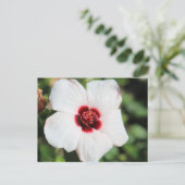 Pavonia Hastata # 2 Briefkaart (Staand voorkant)