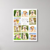 Paw Drukt mijn hoofdartikel Memorial 11 Foto Colla Canvas Afdruk (Voorkant)