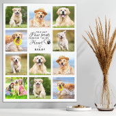 Paw Drukt mijn hoofdartikel Memorial 11 Foto Colla Canvas Afdruk