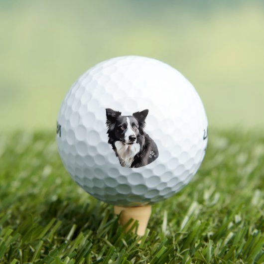 Paw-fect Golfballen (Insitu Shirt)