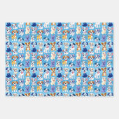 Paw Friends Inpakpapier Vel (Voorkant)