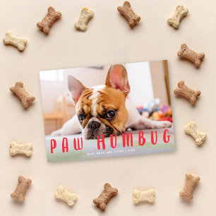 Paw Humbug Funny Cute Dog Cat Holiday-fotokaart Feestdagenkaart