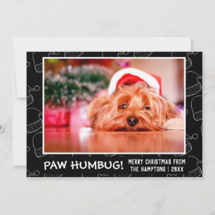 Paw Humbug Pet Black Foto Feestdagenkaart