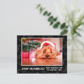 Paw Humbug Pet Foto Black Santa Hat Feestdagenkaart (Staand voorkant)