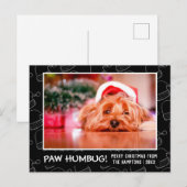 Paw Humbug Pet Foto Black Santa Hat Feestdagenkaart (Voorkant / Achterkant)