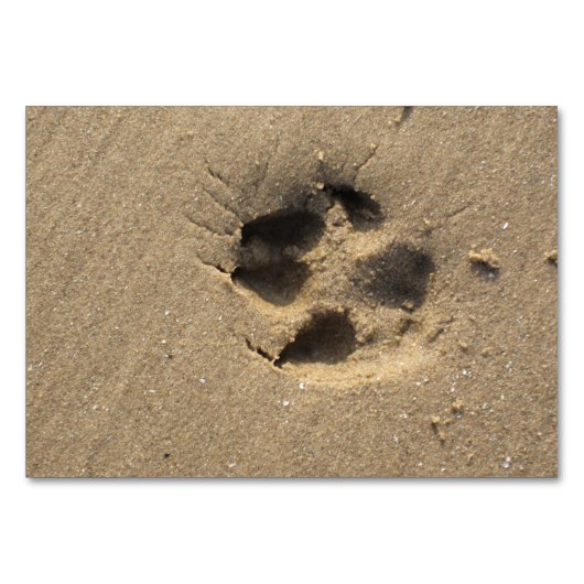 Paw-nummer Kaart (Voorkant)