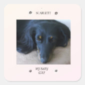 Paw Print Frame with Pet Name and Nickname Vierkante Sticker (Voorkant)