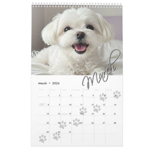 Paw Prints 12 maanden Uw Familie Huisdier Foto's Kalender (Mar 2026)