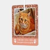 Paw Prints Cat Memorial Foto Metal Ornament (Voorkant links)