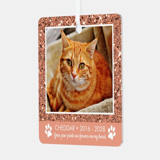 Paw Prints Cat Memorial Foto Metal Ornament (Voorkant links)