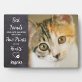Paw Prints Gepersonaliseerde Foto Pet Cat Memorial Fotoplaat (voorkant)