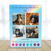 Paw Prints & Herinneringen-Custom Rainbow Dog Memo Fotoblokken