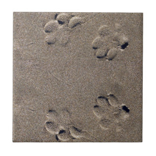 Paw Prints in de Zand Hond Pet Tegeltje