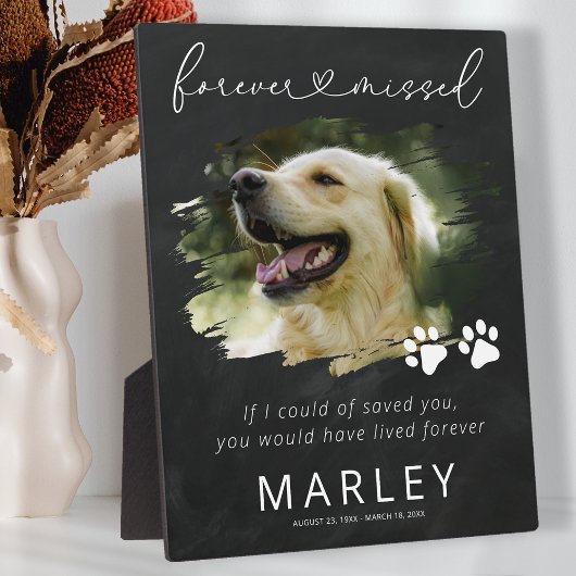 Paw Prints Keepaardse foto van Memorial Fotoplaat