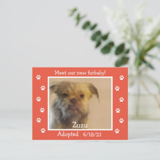 Paw Prints Lijst Pet Adoption De datum opslaan Briefkaart (Staand voorkant)