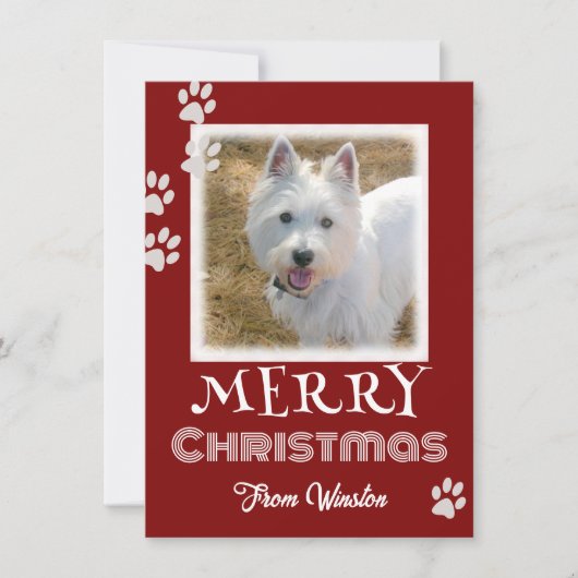 Paw Prints Merry kerstdog-fotokaarten (Voorkant)