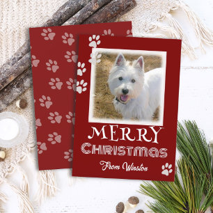 Paw Prints Merry kerstdog-fotokaarten
