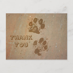 Paw Prints op Stone Dank u Briefkaart