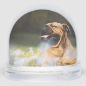 Paw Prints Voor Altijd Gemiste Naam Hond Foto Sneeuwbol (Achterkant)