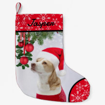 Paw Snowflake Pet met kerstmis stoppen