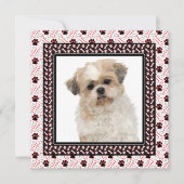 Paw-ty Dog Verjaardagsfeestje of Doggie Samen Kaart (Voorkant)