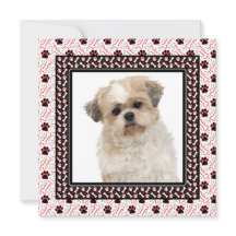 Paw-ty Dog Verjaardagsfeestje of Doggie Samen