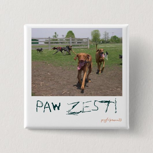 Paw zest! vierkante button 5,1 cm (Voorkant)