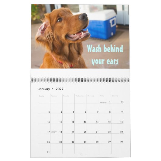 Pawcurieuze agenda 2011 kalender (Jan 2027)
