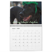 Pawcurieuze agenda 2011 kalender (Mar 2027)