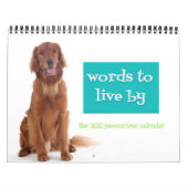 Pawcurieuze agenda 2011 kalender (Hoes)