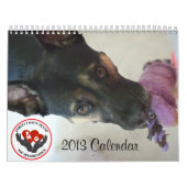Pawfect Match 2013 Calendar Kalender (Hoes)