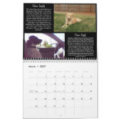 Pawfect Match 2013 Calendar Kalender (Mar 2027)