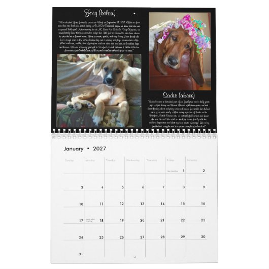 Pawfect Match 2013 Calendar Kalender (Jan 2027)
