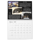 Pawfect Match 2013 Calendar Kalender (Feb 2027)