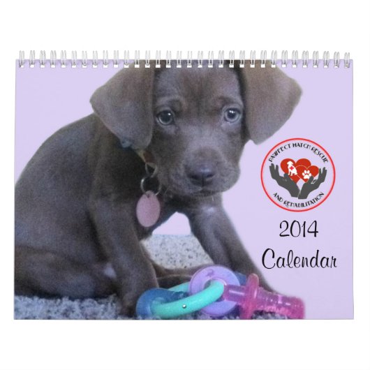 Pawfect Match 2014 Calendar Kalender (Hoes)
