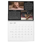 Pawfect Match 2014 Calendar Kalender (Mar 2027)