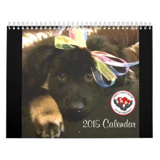 Pawfect Match 2015 Calendar Kalender