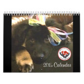 Pawfect Match 2015 Calendar Kalender (Hoes)
