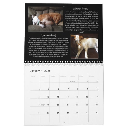 Pawfect Match 2015 Calendar Kalender (Jan 2026)
