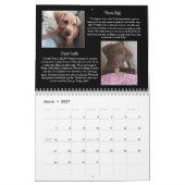 Pawfect Match 2015 Calendar Kalender (Mar 2027)