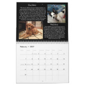 Pawfect Match 2015 Calendar Kalender (Feb 2027)