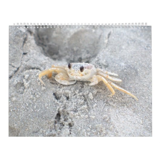 Pawley Island Large Wall Calendar Design 2 Kalender (Hoes)