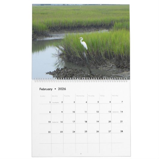 Pawley Island Large Wall Calendar Design 3 Kalender (Feb 2026)