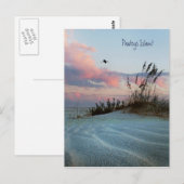 Pawleys Island Dune Sunset Briefkaart (Voorkant / Achterkant)